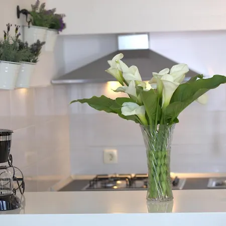 Appartement Mai *